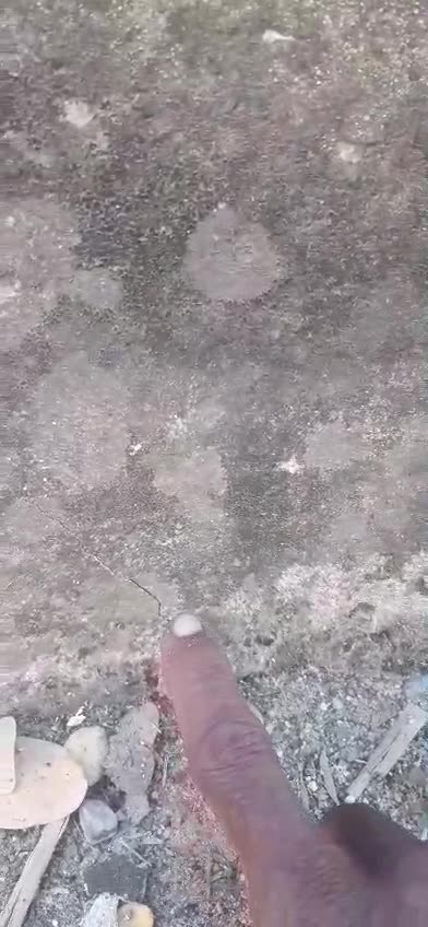 Testimonio de habitante