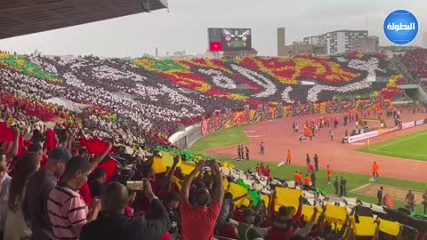 تيفو الوداد