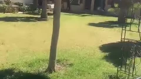 أنا أريك الناس