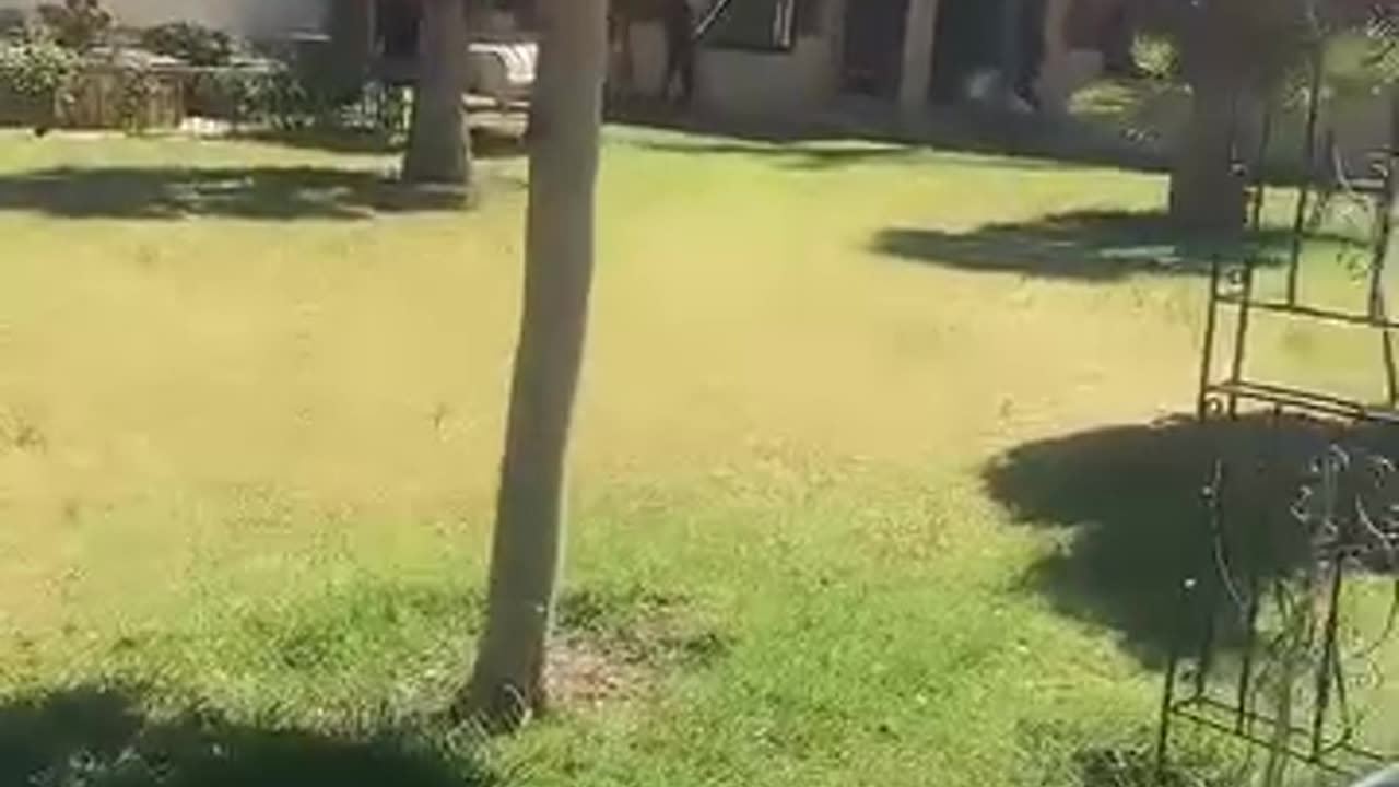 أنا أريك الناس