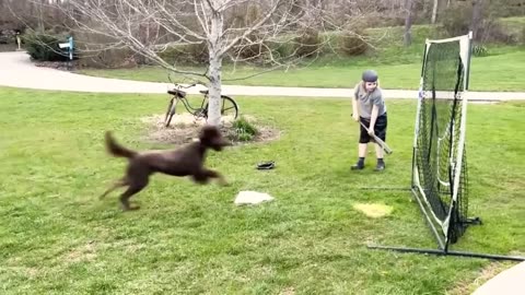 TRY NOT TO LAUGH 😆 Best Funny Videos Compilation 😂😁😆