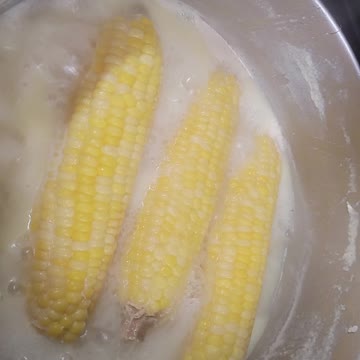 Best corn on the cob EVER!!