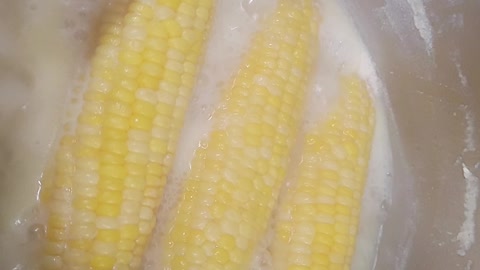 Best corn on the cob EVER!!