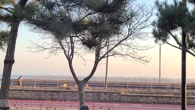 The view from the sunset in front of the sea.