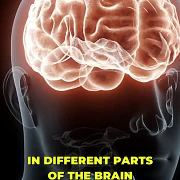 🧠 Exploring how the brain processes visual information! 👁️