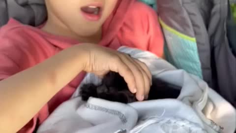 The baby carrige