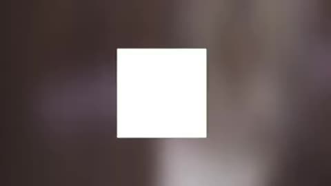 1 MINUTE! #16 _ Cat Lovers _ SHORT & FUNNY Videos 🤣 #Shorts