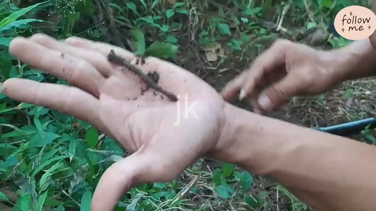 Treasure finding with metal detector