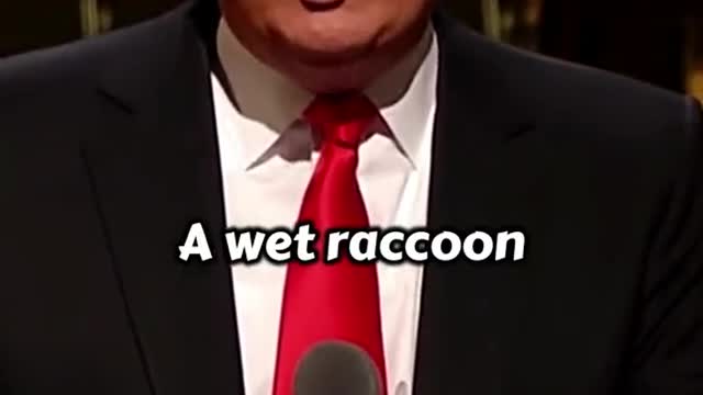 Donald Trump: The Difference Between A Democrat And A Wet Racoon