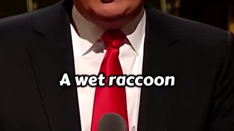 Donald Trump: The Difference Between A Democrat And A Wet Racoon