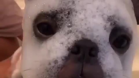 Splish Splash, I Was Taking A Bath. Just Watch it.