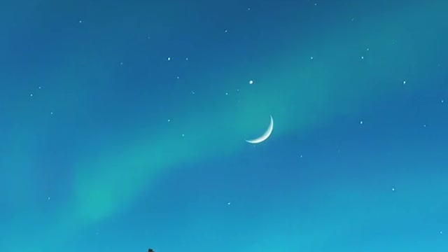 "There is an old legend that the people who see the aurora are the happy