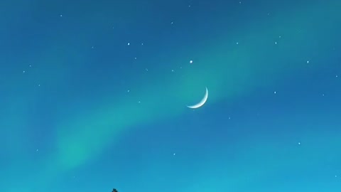 "There is an old legend that the people who see the aurora are the happy