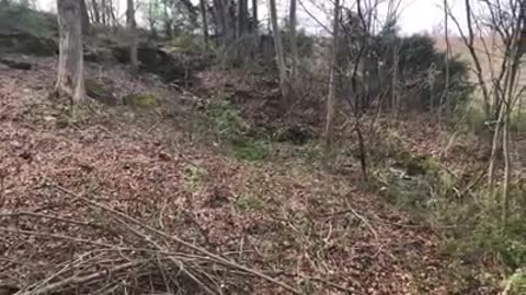 Cleared the bank