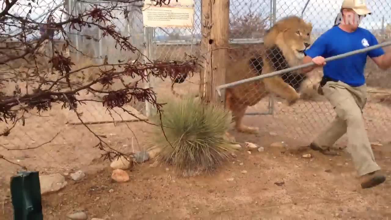 Damn Nature You Scary | Funny Scary Animal Encounters