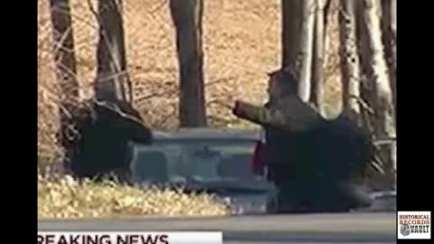 'Footage Of A Man Detained In Front Of Sandy Hook Elementary' - 2013
