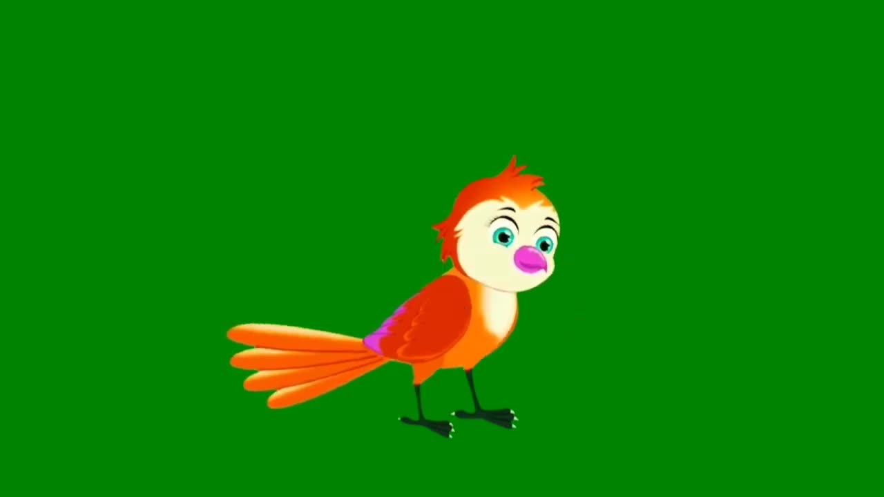 GREEN SCREEN CARTOON ! BIRD FLY ! BIRDS ANIMATION GREEN SCREEN CARTOON STORES !!!