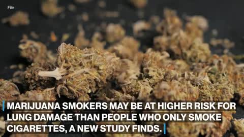 Marijuana smokers could be at more risk for emphysema than cigarette smokers_ Study