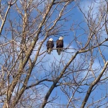 These two beauties were spotted