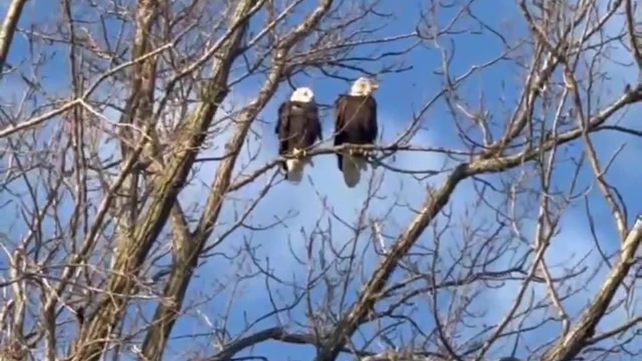 These two beauties were spotted