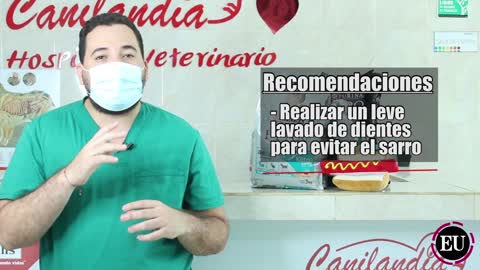 Mi Mascota: ¿baña correctamente a su perro o gato? [Video]