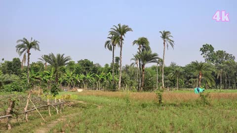 Bangladesh- the land of beauty