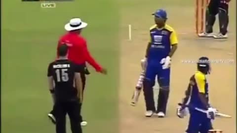 Top5 cricket fights