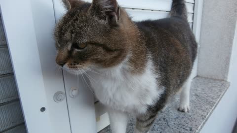 Oktatóvideó csodálatos emberek számára