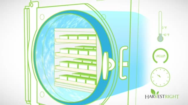 How Freeze Drying works