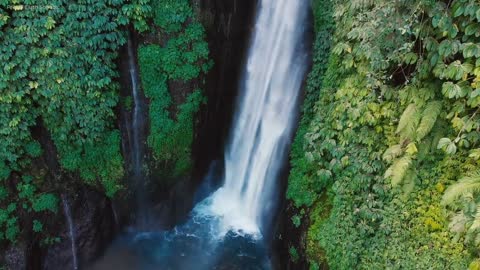 beautiful nature around us