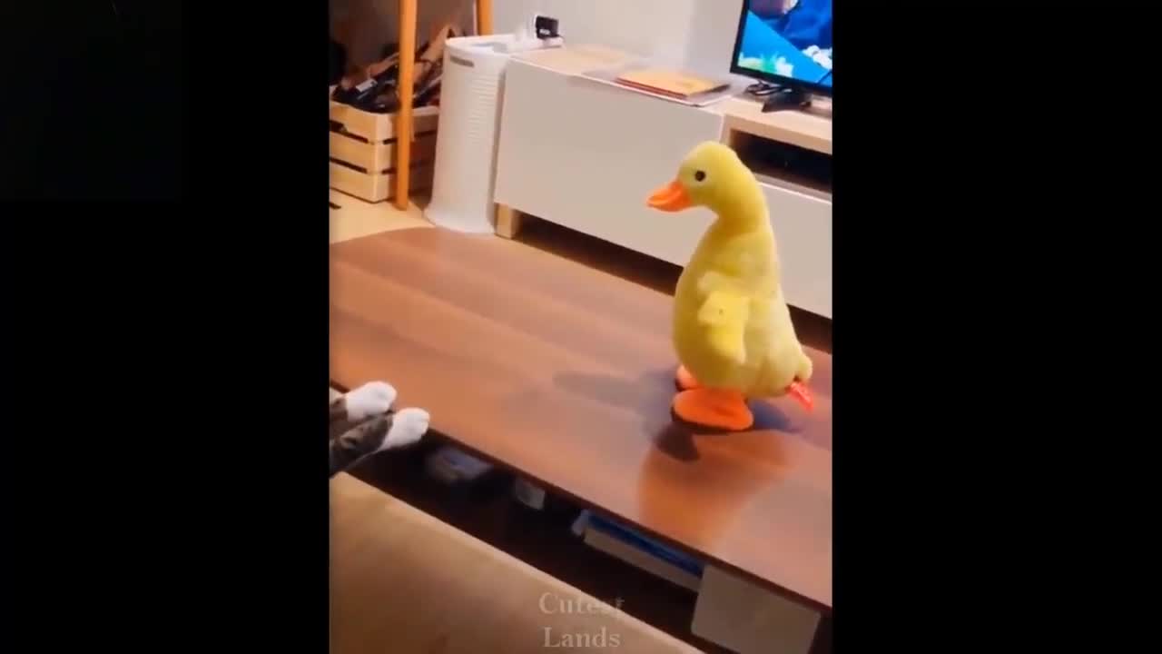 ๐Cute And Funny Pets | Try Not To Laugh To These Pets Compilation #7๐ Cutest Landss