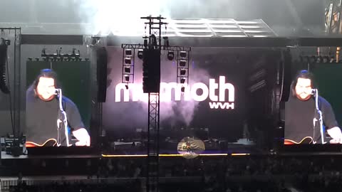 Mammoth WVH "Mammoth"