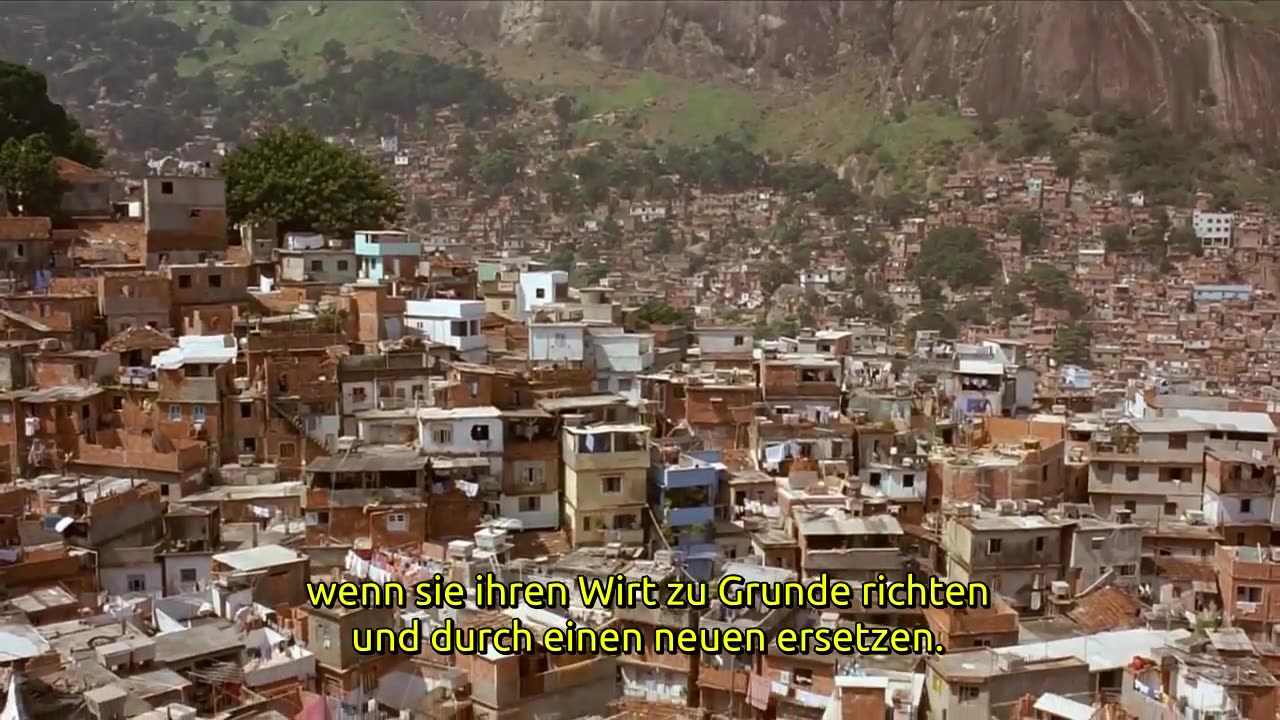 Palestina u. d. Khasaren