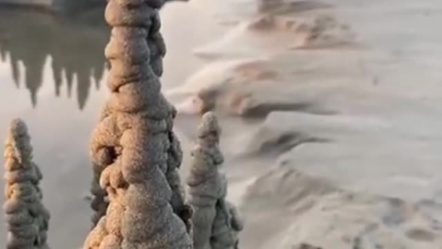 Tik Toks That Are From The Funny Side Of TikTok
