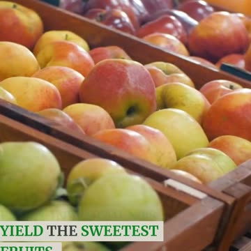 Debunking the Debt Dilemma From Loans to Liberation