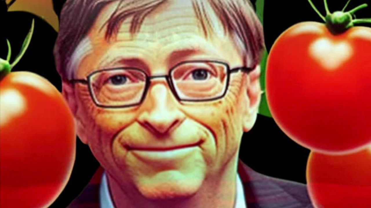 Hard Boiled Eggs & Rotten Tomatoes by Magnetisme Kultra / Creepy Creepo World Records