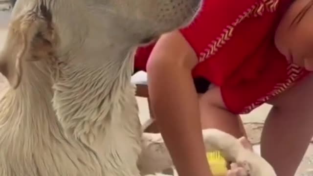 When I put my human to work!