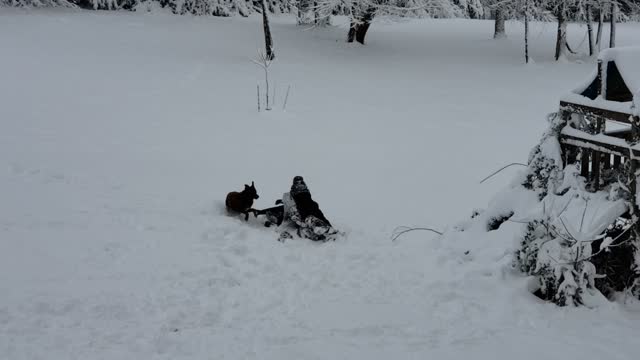 Fun in the TN Snow on Christmas Day