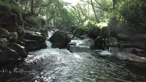 Early morning walk to Tiw's waterfall, May 2022