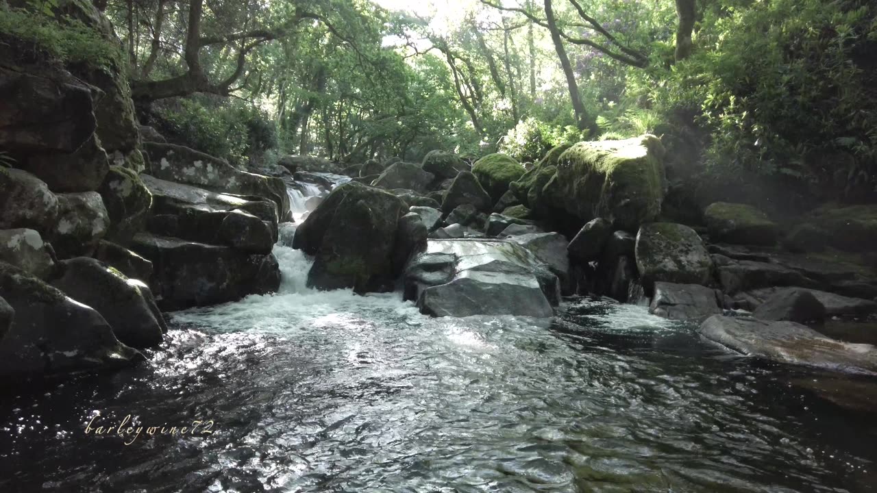 Early morning walk to Tiw's waterfall, May 2022