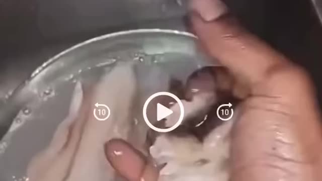 What the hell! This man buys white fish from the store