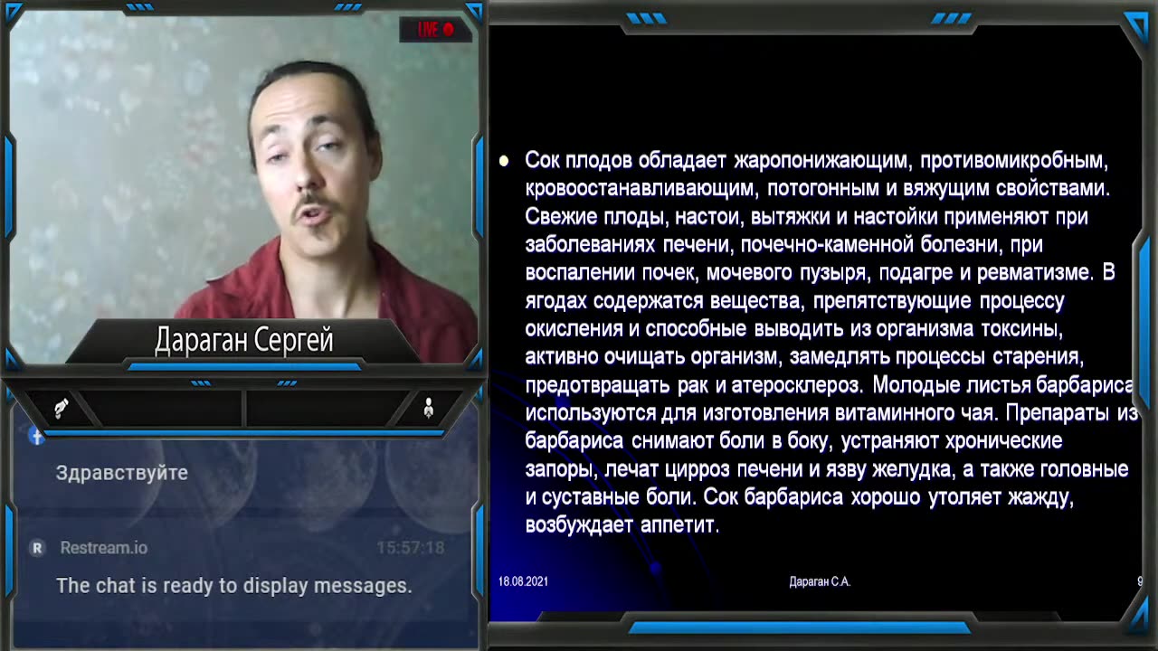Барбарис