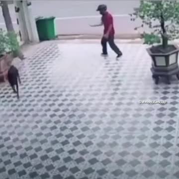 TODOS OS MAVIMENTOS SÃO FRIAMENTES CALCULADOS