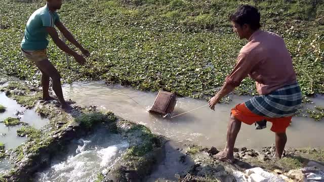 Water Irrigation system.