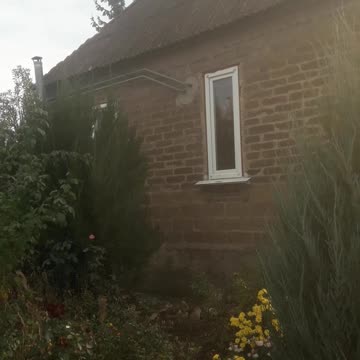 House in the garden