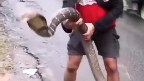 This is a beautiful and charming water-dwelling species