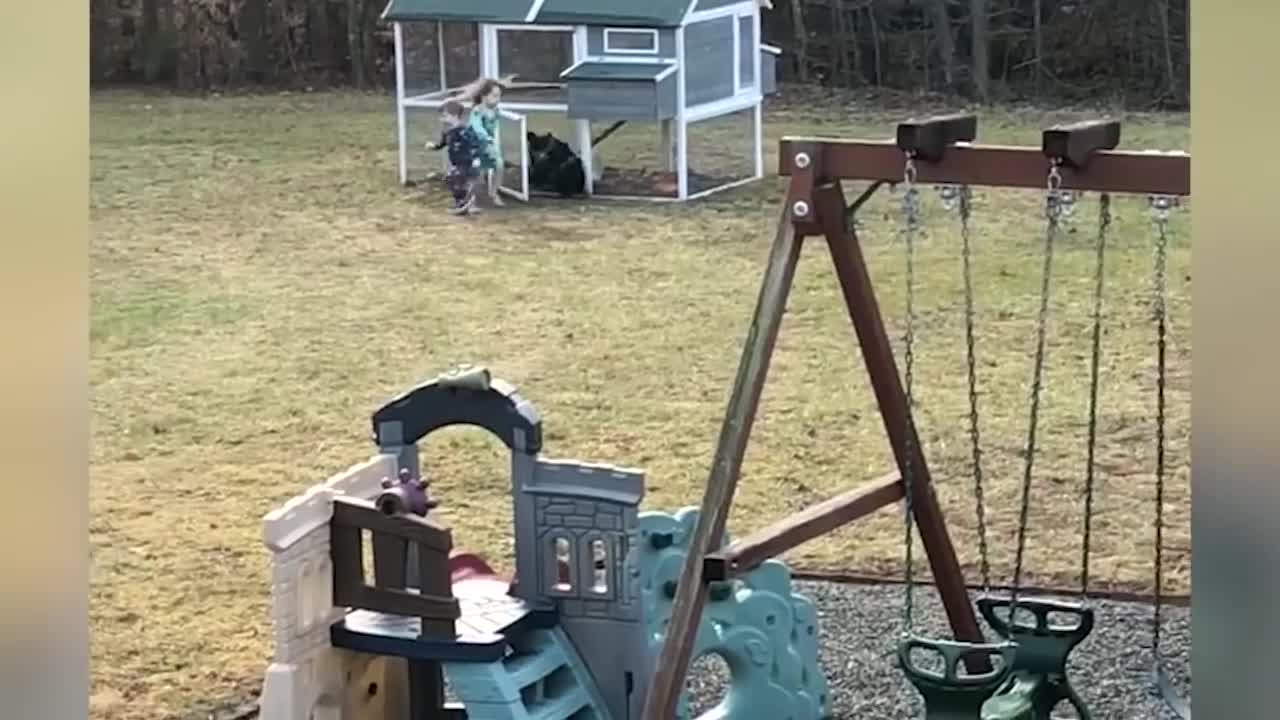 Funny Chickens Chasing Troll Baby and Kids