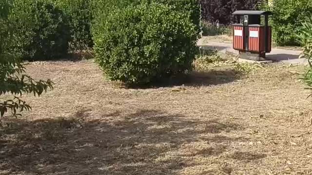 Have you ever been to such a beautiful park?