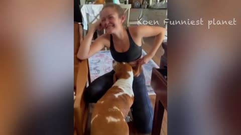 Funny Animal Cat N Dog
