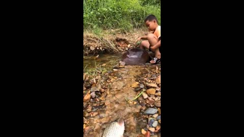 Fishermen catch giant fishe
